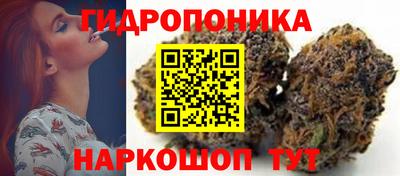 прущие грибы Пенза