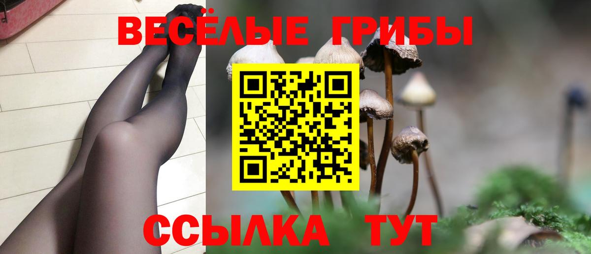 Псилоцибиновые грибы прущие грибы Пыть-Ях
